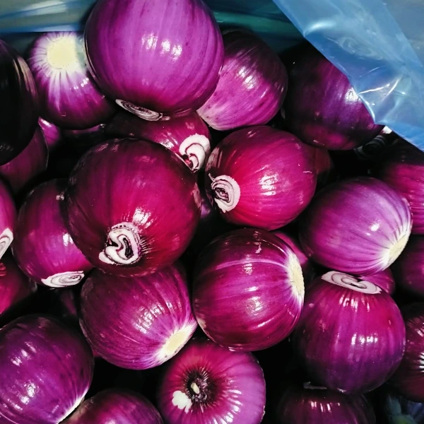 Huaang Food Processing vinder markedsandele med stabil kvalitet