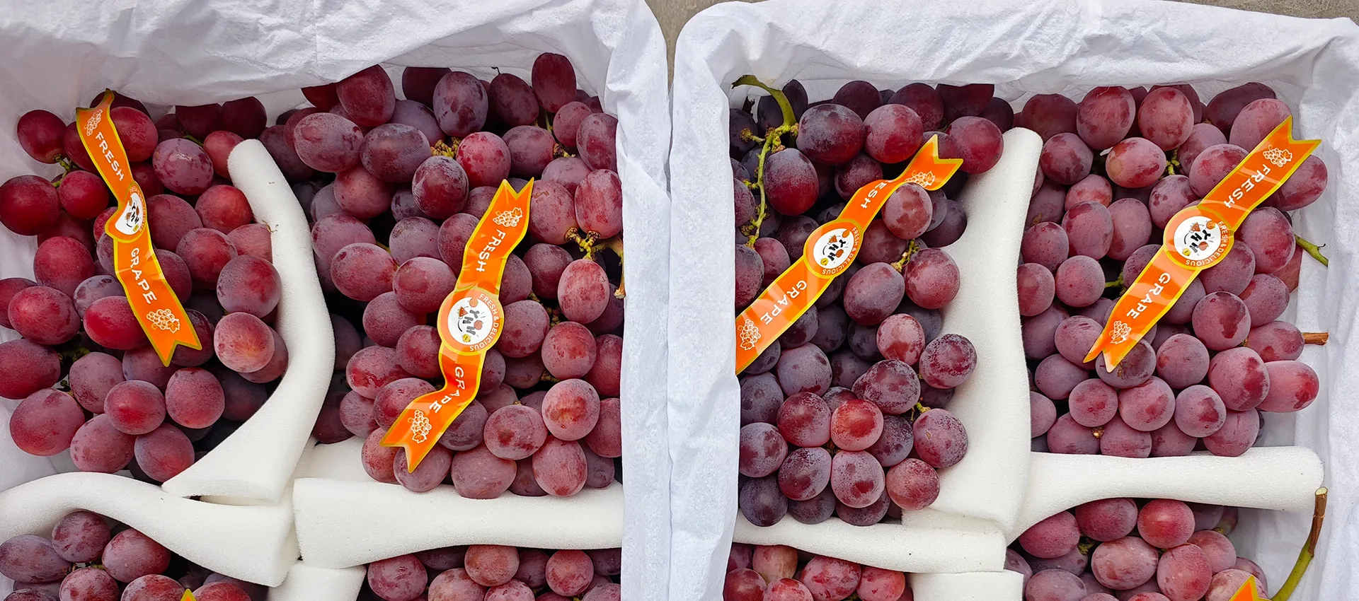 Kina Premium Fresh Grapes Leverandør