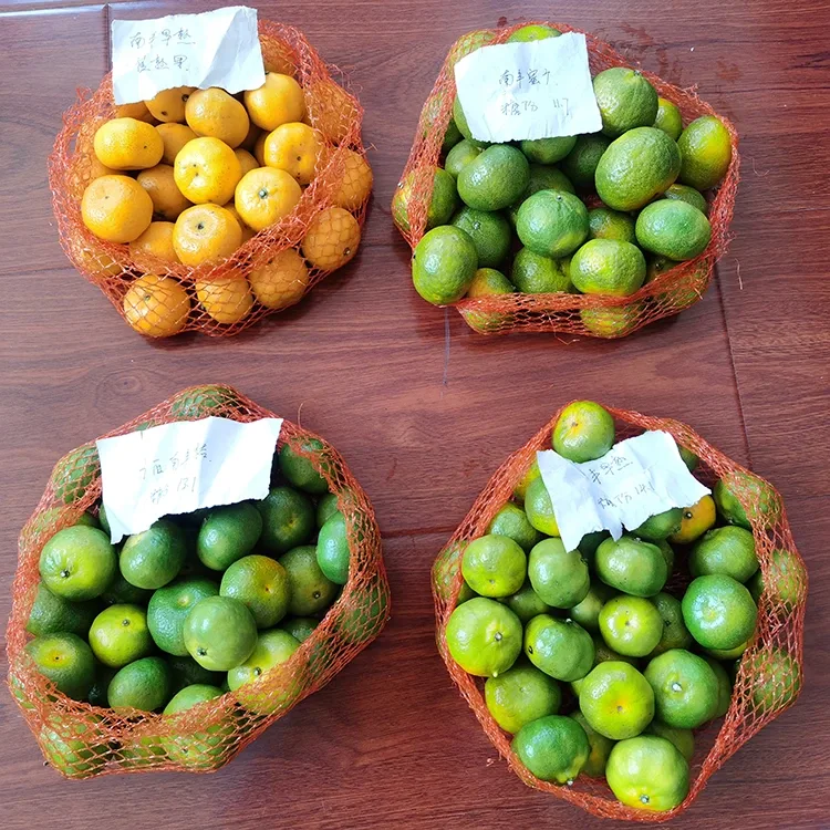 Frisk honning mandarin